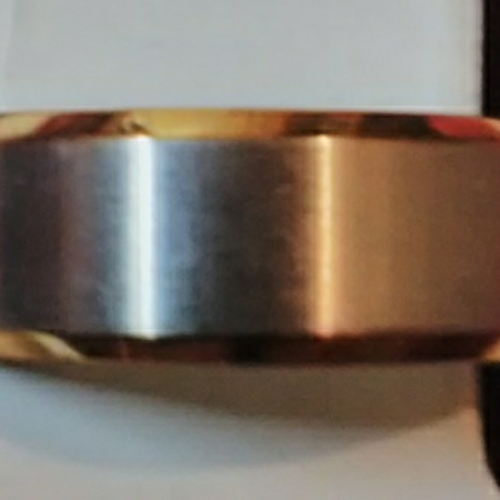 Men's Stainless Steel with Gold Plated Ring